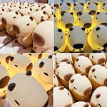 Led Night Light
