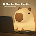 Led Night Light